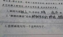 月季花写拟人句