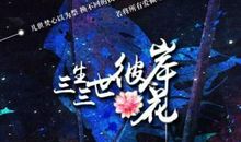 三生三世彼岸花句子