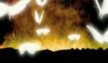 不管怎么，你都得去试一下，就像飞蛾扑火