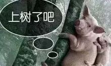 关于信任的谚语