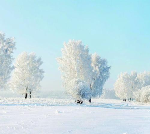 下雪季节的祝福