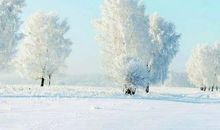 大雪季节祝福语
