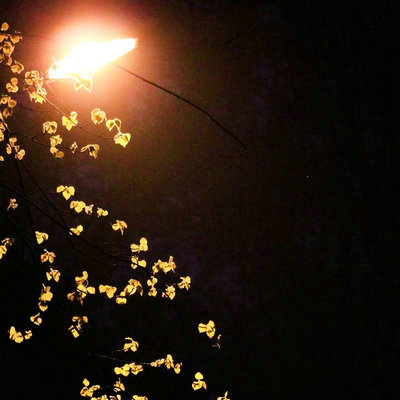 无论如何，您都必须尝试一下，就像飞蛾扑火一样1