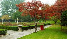 春意阑珊造句大全