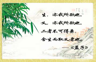 2019流行的搞笑励志名言