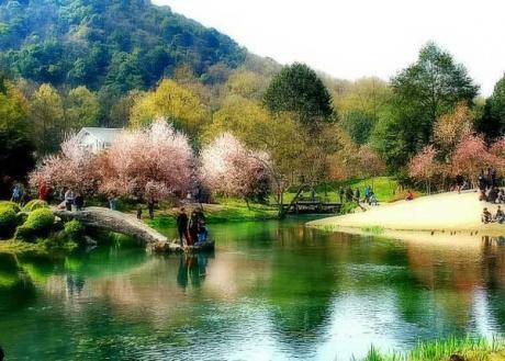 描述故乡的句子