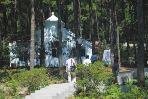 关于树木和森林的谚语