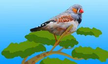 鸟的叫声拟人句