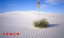 形容激烈拼搏的谚语