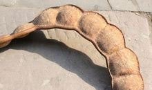 丫鬟拿钥匙歇后语