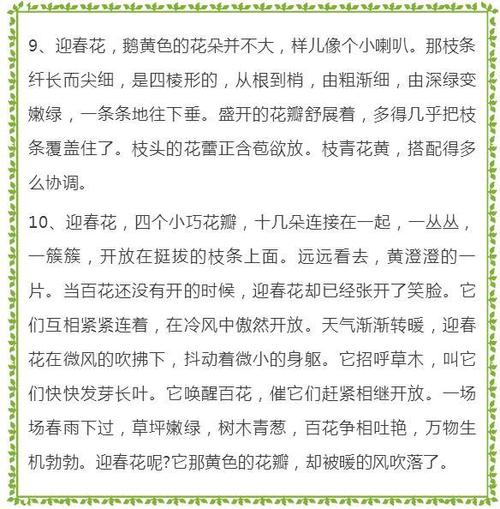 写作春天的好单词和句子