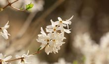 成功哲理名言名句大全