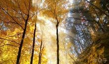 励志的句子图片2018：你现在不累，以后会更累