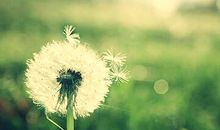 经典伤感唯美的句子，伤感的句子想流眼泪