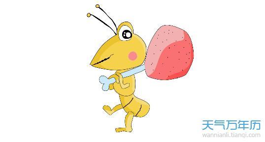 蚂蚁戴着眼镜的寓言