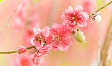 最触动人心的十句话