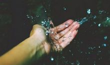 深情不及久伴类似句子