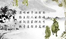 有关柳树的俗语谚语