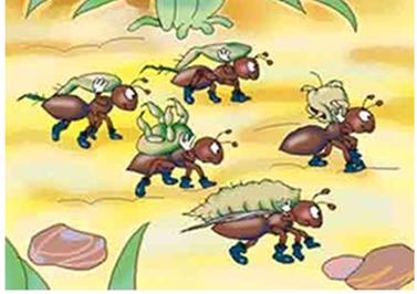 蚂蚁掀起台山谢侯yu