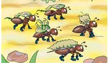 蚂蚁掀泰山歇后语