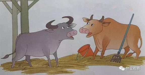 关于牛的谚语