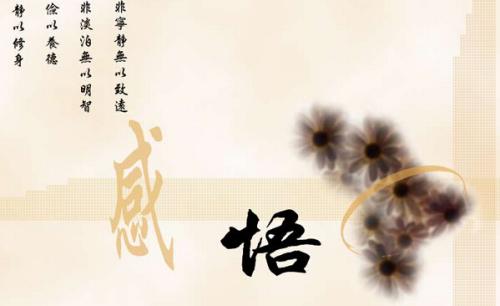 Life Insights经典行情2018