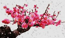 2019最幸福甜蜜的句子