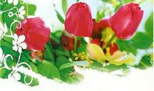 世界上最动听的一句话