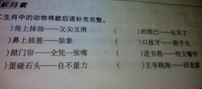 与动物有关的寓言