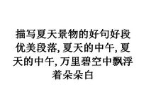 关于爱的好句好段