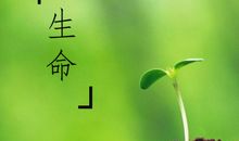 感悟生命的句子