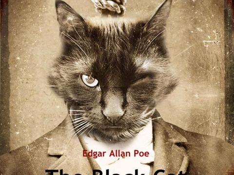 照片猫画老虎寓言词