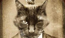 照猫画虎歇后语