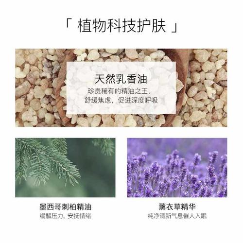 豆阴失眠症句子