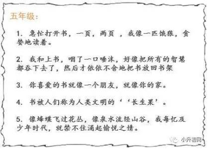 蝴蝶拟人化句子