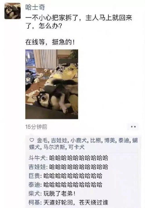 想家的朋友圈谈论