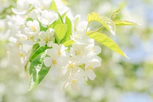 周末祝福2019简介