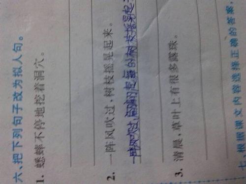 小白兔拟人化句子