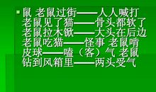 十二生肖的歇后语大全