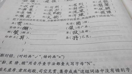 完全不同的句子