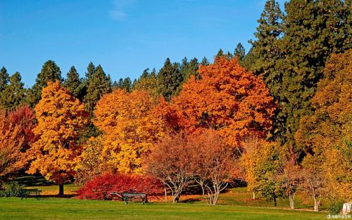 秋风的拟人化句子