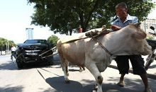 老牛拉车歇后语