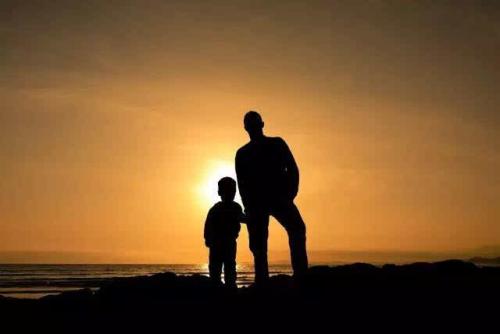 完全不同的句子