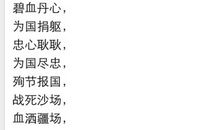 表示爱国深情的成语