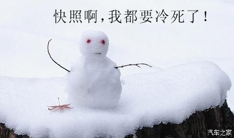 雪微信祝福