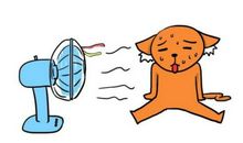 护士节朋友圈说说幽默