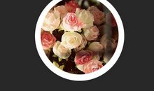 表示一个女人幸福的句子