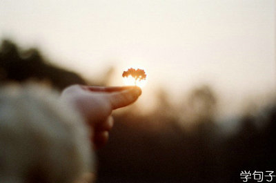 阳光和鼓舞人心的句子很短:刻苦思考没有希望,刻苦学习没有希望