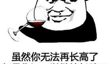 与其不如造句大全