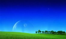 大自然优美的句子大全